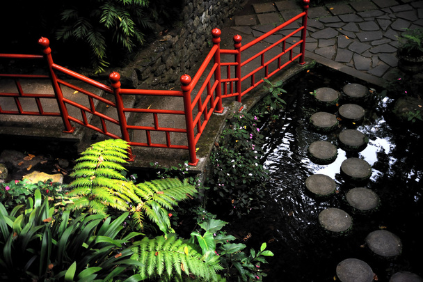 палацовий тропічний сад Монте
 - Фото, зображення