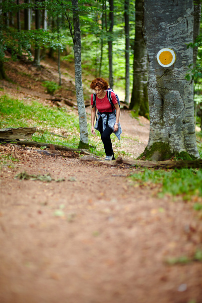 Female tourist hiking in a mountain forest - Fotoğraf, Görsel