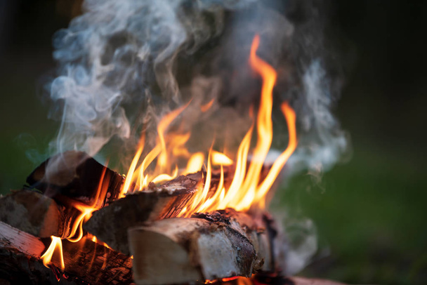 Burning campfire, flames and smoke - Photo, Image