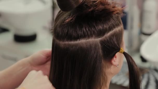 Professional hairdresser woman prepares clients hair for haircut. - Footage, Video