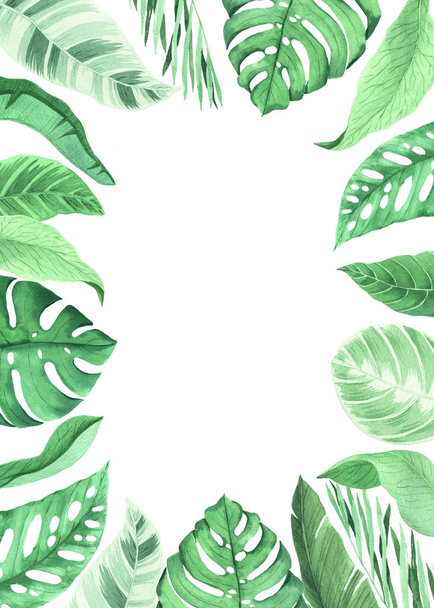 Акварель ручна пофарбована тропічна рамка
 - Фото, зображення