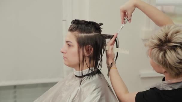 Profesjonalna fryzjerka robi fryzurę na mokre włosy do klienta. - Materiał filmowy, wideo