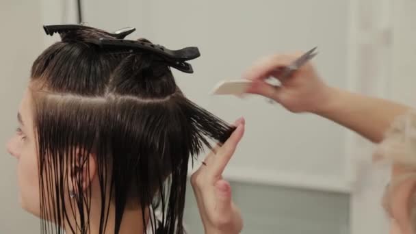 Cabeleireiro profissional mulher fazendo penteado no cabelo molhado ao cliente
. - Filmagem, Vídeo