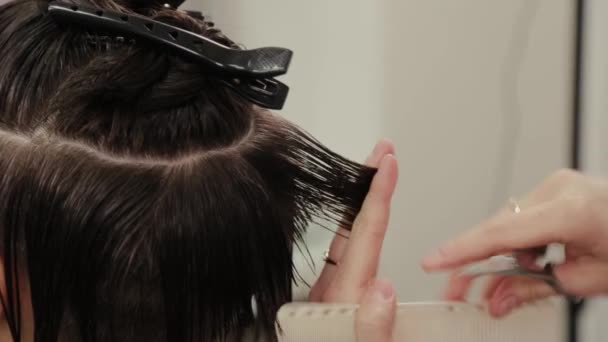 Professional kampaaja nainen tekee kampauksen märät hiukset asiakkaalle
. - Materiaali, video