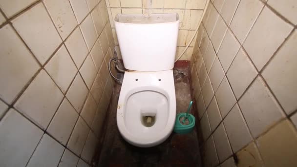 Eski, kirli ortak umumi tuvalet fayanslarda paylaşılıyor. - Video, Çekim