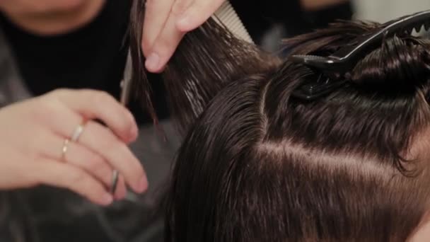 Profesionální kadeřnice dělá účes na mokré vlasy na klienta. - Záběry, video