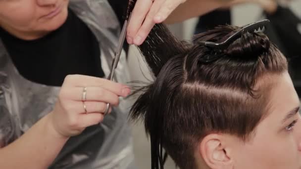 Parrucchiere professionista donna facendo acconciatura su capelli bagnati al cliente
. - Filmati, video