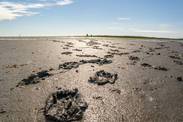 Footprints in the Watenmeer - Photo, Image
