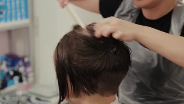 Peluquería profesional mujer haciendo peinado en el pelo mojado al cliente
. - Imágenes, Vídeo