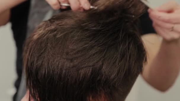 Peluquería profesional mujer haciendo peinado en el pelo mojado al cliente
. - Metraje, vídeo
