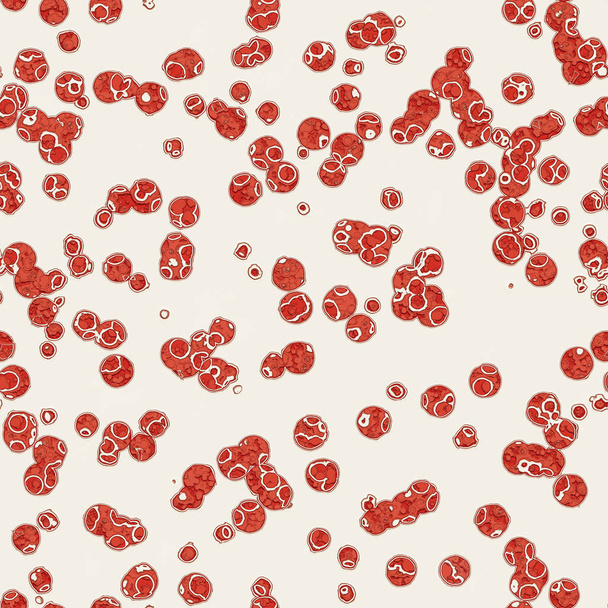 Cell analysis, cell duplication, study of infectious diseases. Microscopic view of micro organisms and bacteria. Blood test of red blood cells - Photo, Image