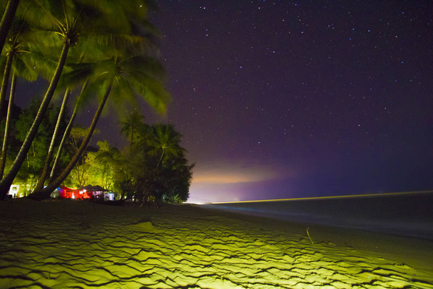 Een palm boom onder een sterrenhemel - Foto, afbeelding