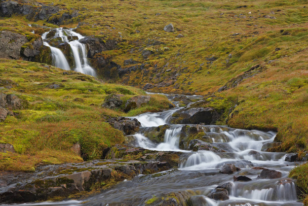 beautiful waterfall on nature background - Photo, image