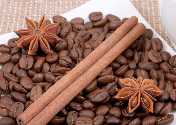 coffee bean, cinnamon and anise, lie on a saucer - Photo, Image
