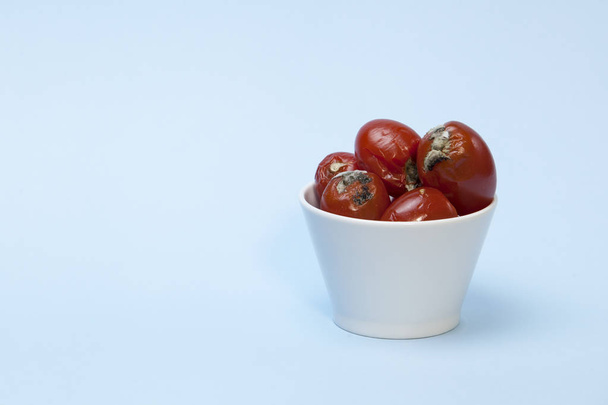 White bowl with rotten tomatoes on a blue background. - Foto, afbeelding