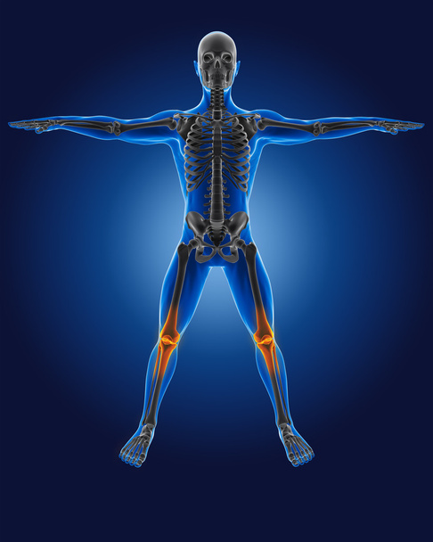 3D medical man with skeleton - Photo, Image