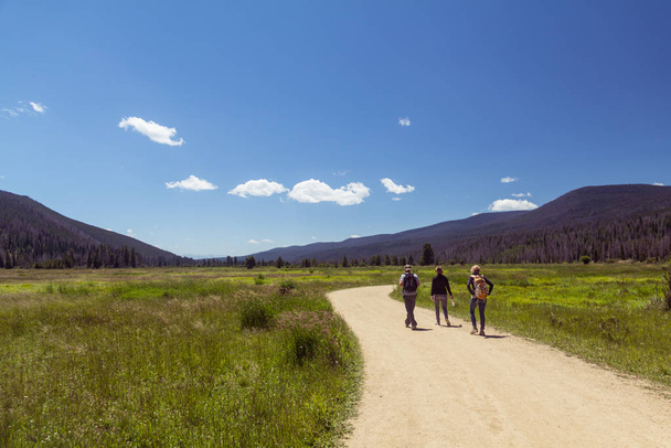 Amigos de senderismo a través de un prado en el Parque Nacional de las Montañas Rocosas, montañas boscosas en la distancia
 - Foto, Imagen
