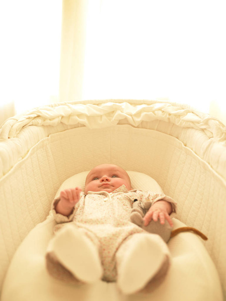 Baby in bassinet with stuffed toy. Vertically framed shot. - Fotó, kép