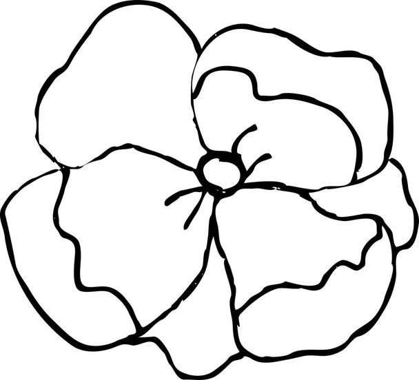 flowers vector Pansy coloring book - Vecteur, image