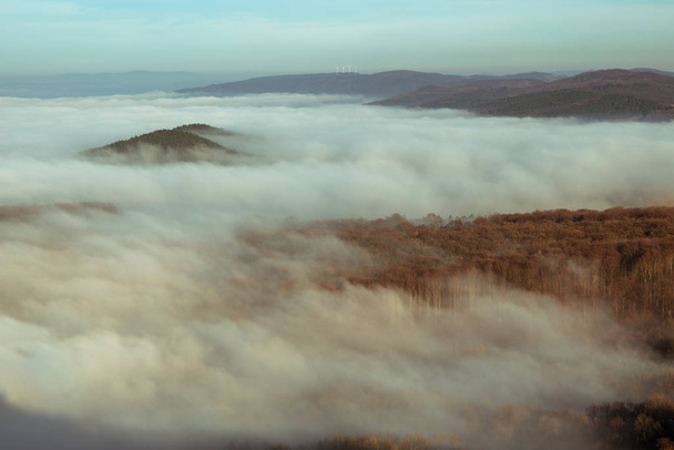 Jesienne chmury odwrócone pokrywają krajobraz. Z mgły wyrywają korony drzew - Zdjęcie, obraz