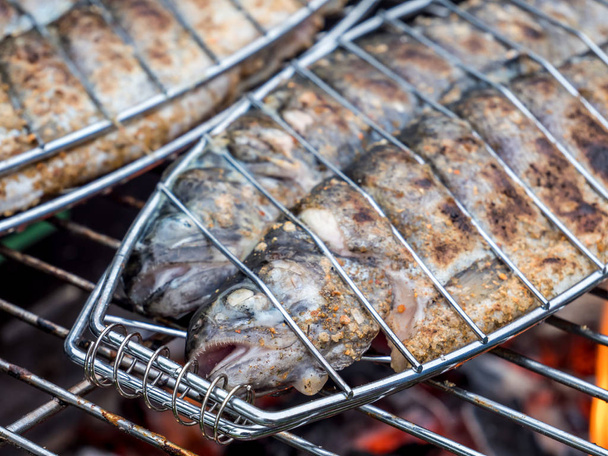 Trout in a fish roaster on the charcoal grill - Photo, Image