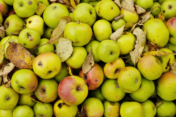 zerbrochene grüne Äpfel - Foto, Bild
