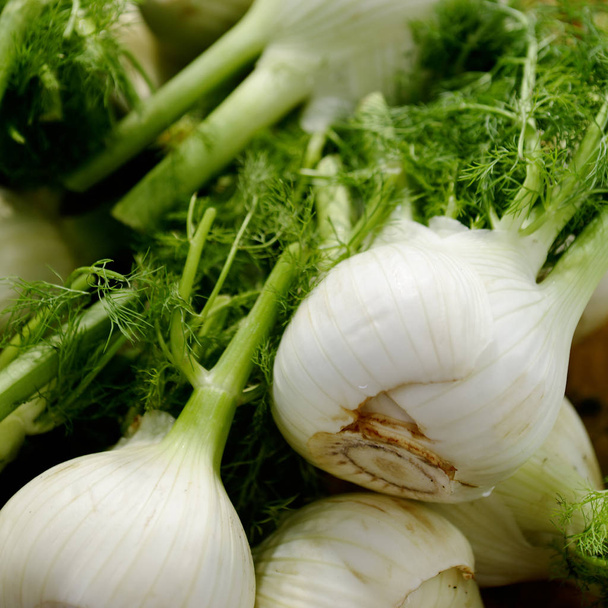fresh green onions and garlic - Foto, imagen