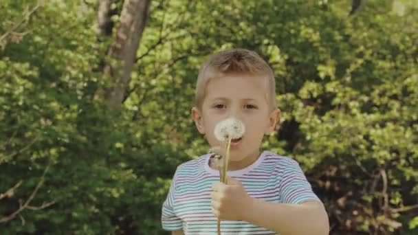 Красивый милый мальчик в парке дует на одуванчик в летнее время - Кадры, видео
