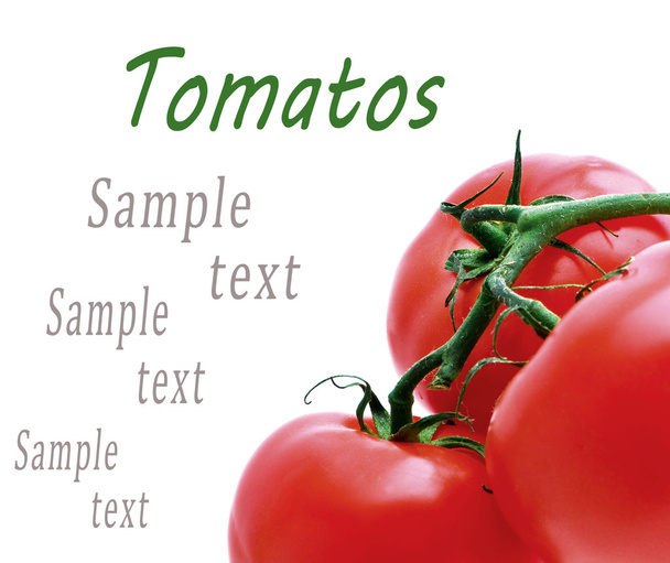 background of the three tomato on a green branch in isolation - Photo, Image