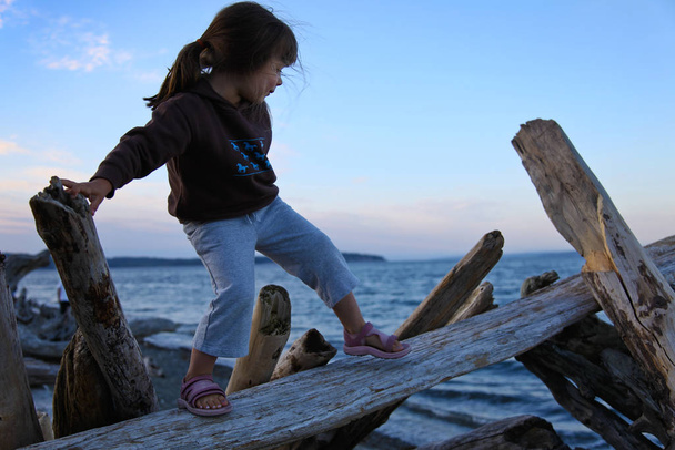 Child standing on driftwood while playing at the beach. Horizontally framed shot. - Fotografie, Obrázek