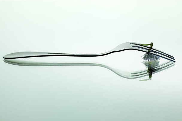 fork with flower on a white background - Foto, Imagen