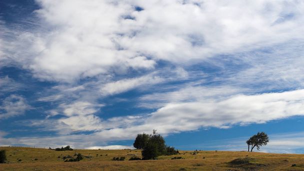 beautiful view of Patagonia region  - Φωτογραφία, εικόνα