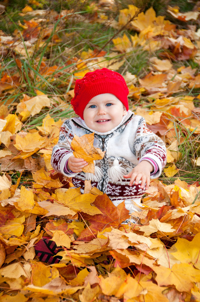 Little cute baby girl on a background of autumn leaves - Foto, afbeelding