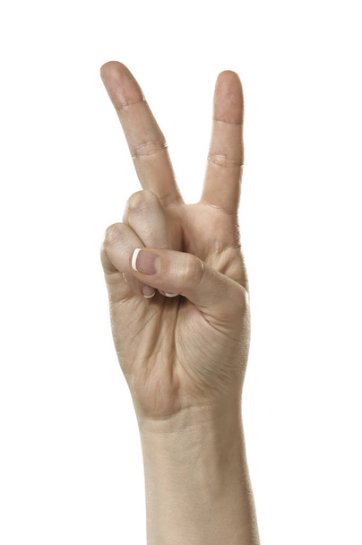 hand gesture isolated on white background - Foto, immagini