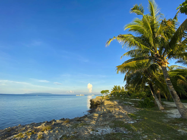 Beautiful coast with a rocky cliff, green grass and palm trees. Sunny summer weather. Boats, yachts and ships in the sea on the horizon background the blue sky and white clouds. - Foto, Imagen