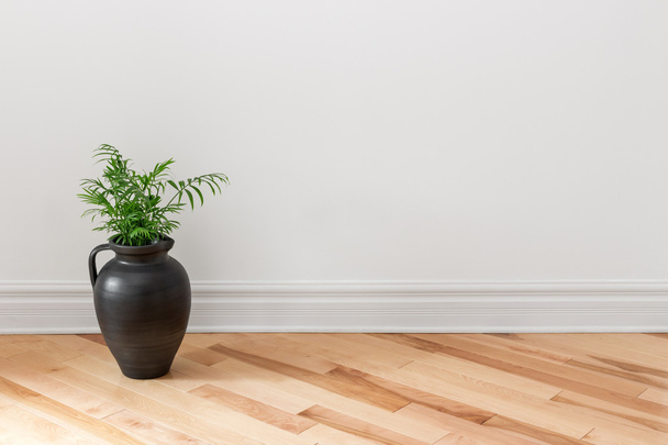 Αμφορέας με πράσινο φυτό διακόσμηση ενός δωματίου - Φωτογραφία, εικόνα
