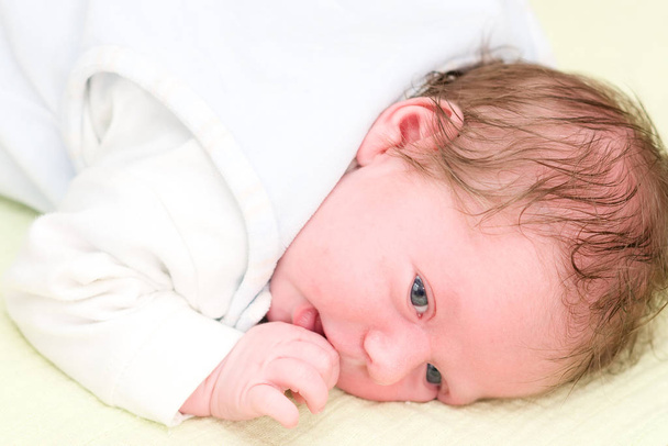 little newborn baby child - Photo, Image