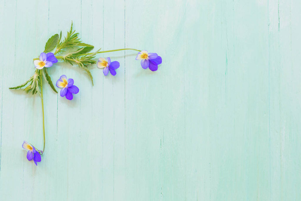 viola flowers on wooden background - Foto, Imagem