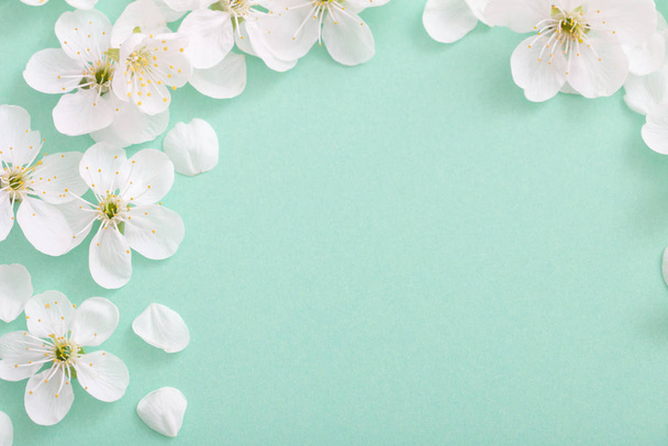 cherry flowers on paper background - Φωτογραφία, εικόνα