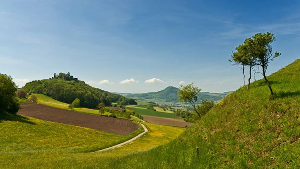 landscape with green field and blue sky - Fotó, kép