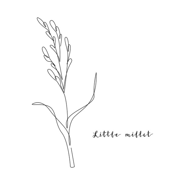 Continuous line little millet, grain crop. Vector line art. Perfect for logo, packaging design, icon - Vecteur, image
