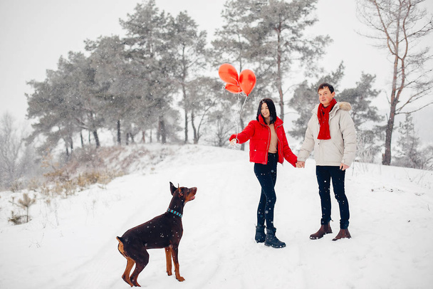 Loving couple walking in a winter park - Fotografie, Obrázek