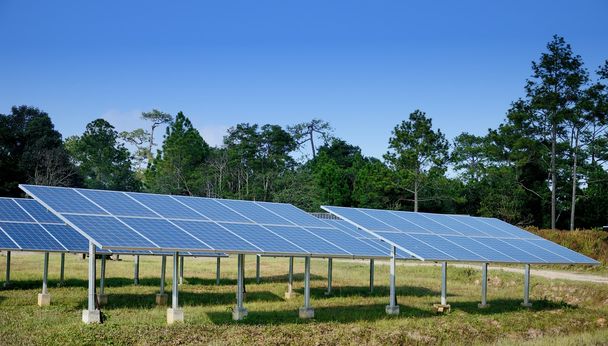 Solární článek v lese, udržitelné koncepce - Fotografie, Obrázek