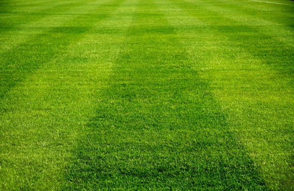 Football field - Photo, Image