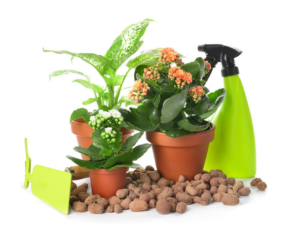 Set of gardening supplies on white background - Photo, Image