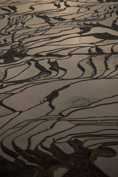 Widok Yuan Yang tarasy ryżowe - Zdjęcie, obraz