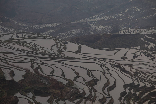 Pohled na Yuan Yang rýžové terasy - Fotografie, Obrázek