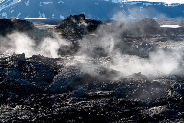 Lava field in Iceland - Foto, immagini