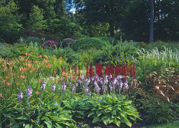 A colourful bog garden with mixed planting of flowers and Hostas in early summer - Photo, Image