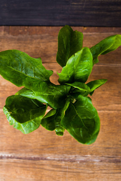 Fresh green spinach - Foto, Imagem
